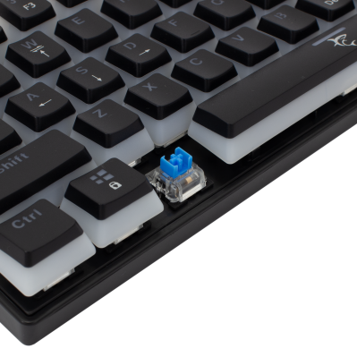 Gaming_tipkovnica_White_Shark_GK_2202_ASHIKO_crna,_Blue_switch_0.png