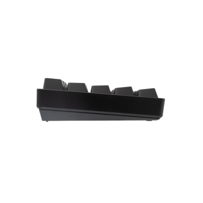 White_Shark_TIPKOVNICA_GK_001114_GLADIUS___US_0.png
