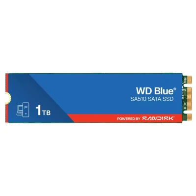 SSD_disk_WD_Blue_SA510_1TB,_m_2_SATA_1.jpg