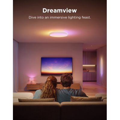 Pametno_stropno_svjetlo_Govee_15_Inch_RGBICWW_+_RGBICWW_Round_Smart_Ceiling_Light_0.png