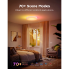 Pametno_stropno_svjetlo_Govee_15_Inch_RGBICWW_+_RGBICWW_Round_Smart_Ceiling_Light_0.png