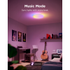 Pametno_stropno_svjetlo_Govee_15_Inch_RGBICWW_+_RGBICWW_Round_Smart_Ceiling_Light_0.png