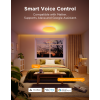 Pametno_stropno_svjetlo_Govee_15_Inch_RGBICWW_+_RGBICWW_Round_Smart_Ceiling_Light_0.png