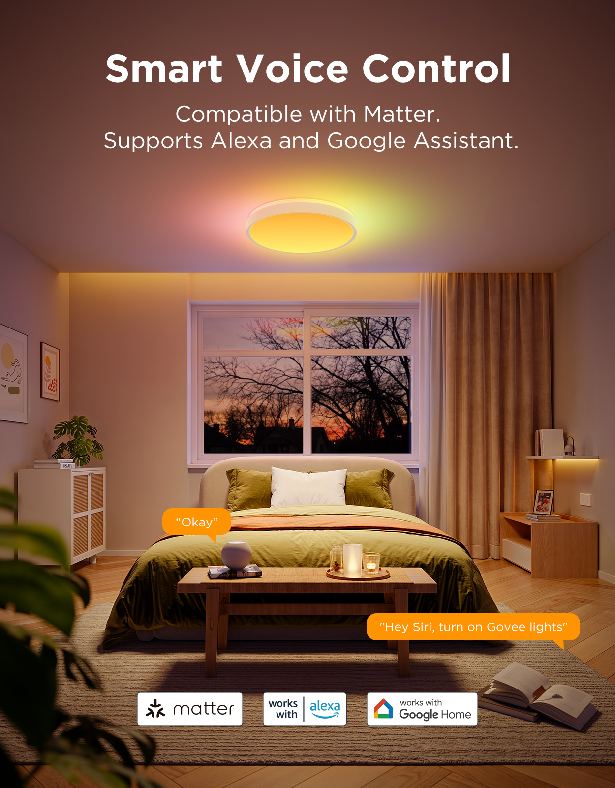 Pametno_stropno_svjetlo_Govee_15_Inch_RGBICWW_+_RGBICWW_Round_Smart_Ceiling_Light_0.png