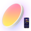 Pametno_stropno_svjetlo_Govee_15_Inch_RGBICWW_+_RGBICWW_Round_Smart_Ceiling_Light_0.png