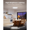 Pametno_stropno_svjetlo_Govee_15_Inch_RGBICWW_+_RGBICWW_Round_Smart_Ceiling_Light_0.png