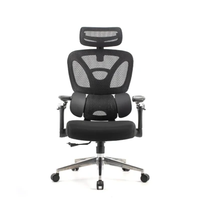 Stolica_Ergovision_TREK____ergonomska_uredska_crna_0.jpg
