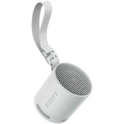 Bluetooth_zvucnik_SONY_SRS_XB100,_SRSXB100H_CE7,_IP67,_sivi_0.jpg