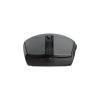Mis_Baracuda_BGM_111_CRAB_crni_0.png