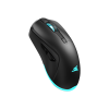 Mis_Baracuda_BGM_121_TURTLE_CRNI___3200_dpi_0.png