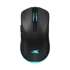 Mis_Baracuda_BGM_121_TURTLE_CRNI___3200_dpi_0.png