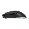 Mis_Baracuda_BGM_121_TURTLE_CRNI___3200_dpi_0.png
