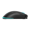 Mis_Baracuda_BGM_121_TURTLE_CRNI___3200_dpi_0.png