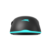 Mis_Baracuda_BGM_121_TURTLE_CRNI___3200_dpi_0.png