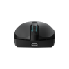 Mis_Baracuda_BGM_121_TURTLE_CRNI___3200_dpi_0.png