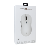 Mis_White_Shark_PL_MIS_GM_9010_MAXIMUS_Bijeli_0.png