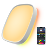 Pametno_stropno_svjetlo_Govee_12_Inch_RGBWW_+_RGBIC_Smart_Ceiling_Light_0.png