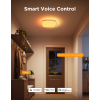 Pametno_stropno_svjetlo_Govee_12_Inch_RGBWW_+_RGBIC_Smart_Ceiling_Light_0.png