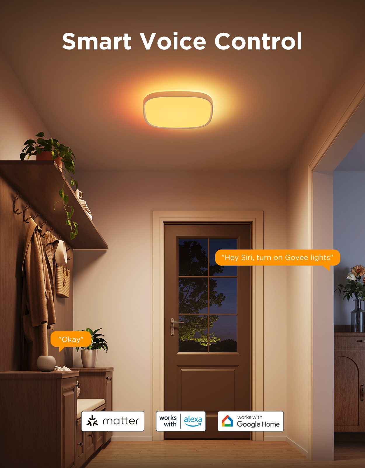 Pametno_stropno_svjetlo_Govee_12_Inch_RGBWW_+_RGBIC_Smart_Ceiling_Light_0.png