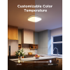Pametno_stropno_svjetlo_Govee_12_Inch_RGBWW_+_RGBIC_Smart_Ceiling_Light_0.png