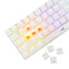 Baracuda_BGK_03211_Dolphin_White_gaming_tipkovnica____Red_Switch_3.jpg