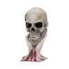 Figurica_Nemesis_Now_METALLICA___SAD_BUT_TRUE_SKULL_22CM_0.jpg