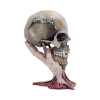 Figurica_Nemesis_Now_METALLICA___SAD_BUT_TRUE_SKULL_22CM_0.jpg