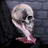 Figurica_Nemesis_Now_METALLICA___SAD_BUT_TRUE_SKULL_22CM_0.jpg