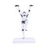 Figurica_Nemesis_Now_STORMTROOPER_CRANE_KICK_20_5CM_0.jpg