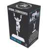 Figurica_Nemesis_Now_STORMTROOPER_CRANE_KICK_20_5CM_0.jpg