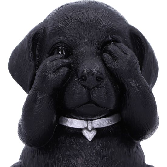 Figurica_Nemesis_Now_THREE_WISE_LABRADORS_8_5CM_0.jpg
