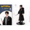 Figurica_Noble_Collection___HARRY_POTTER___BENDYFIGS___HARRY_POTTER_5.jpg