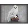 Figurica_Noble_Collection___HARRY_POTTER___MAGICAL_CREATURES___HEDWIG_4.jpeg