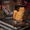 Figurica_Noble_Collection___Harry_Potter___Magical_Creatures___Crookshanks_0.jpg