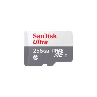 Memorijska_kartica_Sandisk_Ultra_256GB_microSDXC_1.jpg