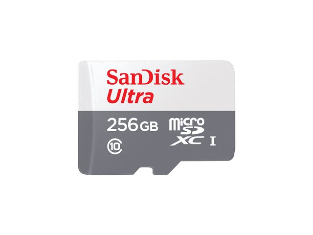Memorijska_kartica_Sandisk_Ultra_256GB_microSDXC_1.jpg