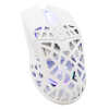 Mis_White_Shark_Caradoc_GM_5018_RGB_Bijeli_2.jpg