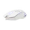 Mis_White_Shark_Caradoc_GM_5018_RGB_Bijeli_3.jpg