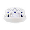 Mis_White_Shark_Caradoc_GM_5018_RGB_Bijeli_6.jpg