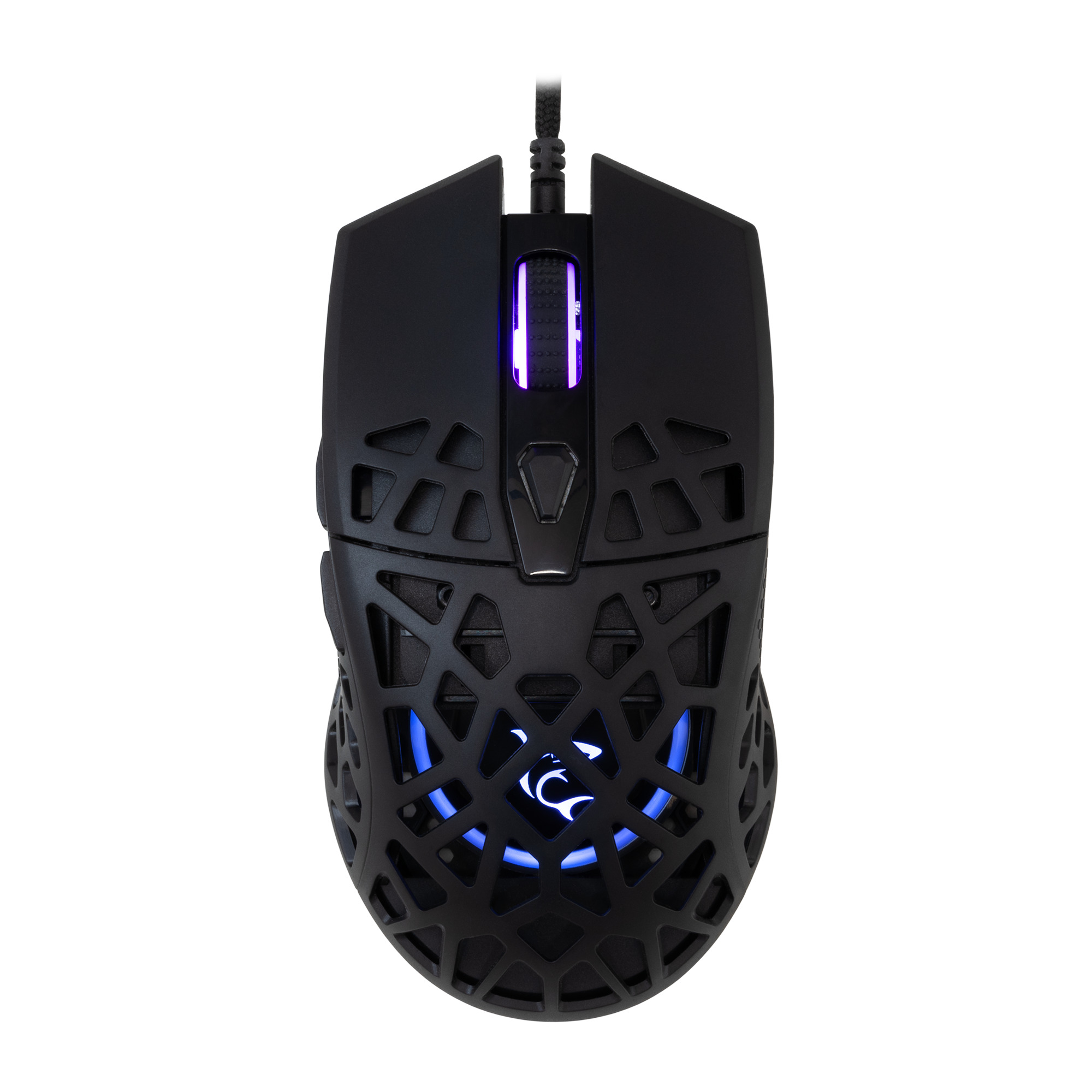 Mis_White_Shark_Caradoc_GM_5018__RGB_Crni_1.jpg