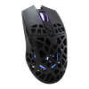Mis_White_Shark_Caradoc_GM_5018__RGB_Crni_2.jpg