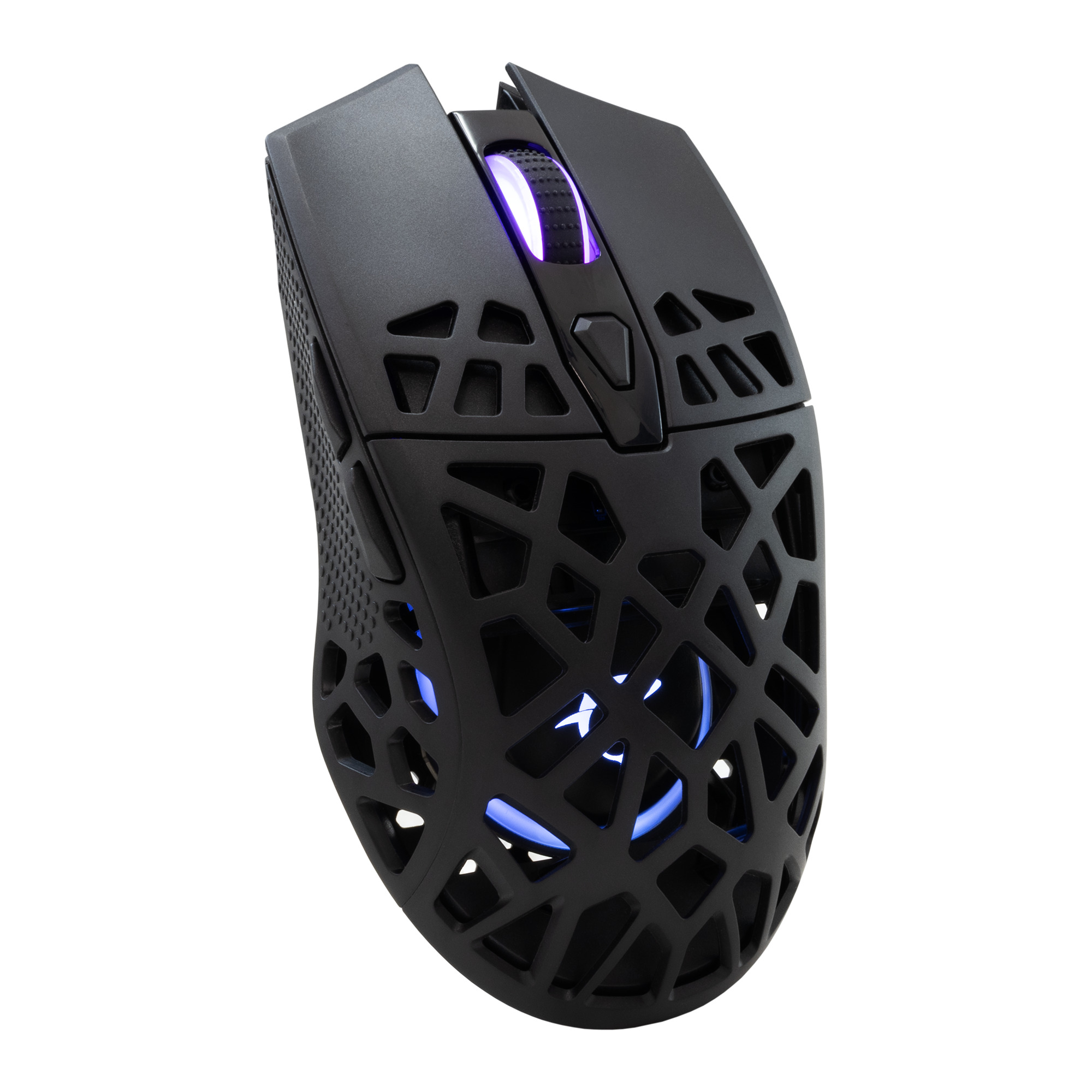 Mis_White_Shark_Caradoc_GM_5018__RGB_Crni_2.jpg