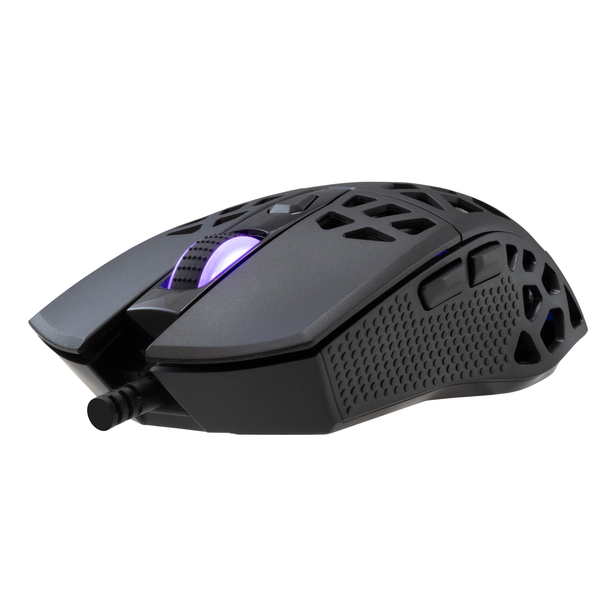 Mis_White_Shark_Caradoc_GM_5018__RGB_Crni_3.jpg