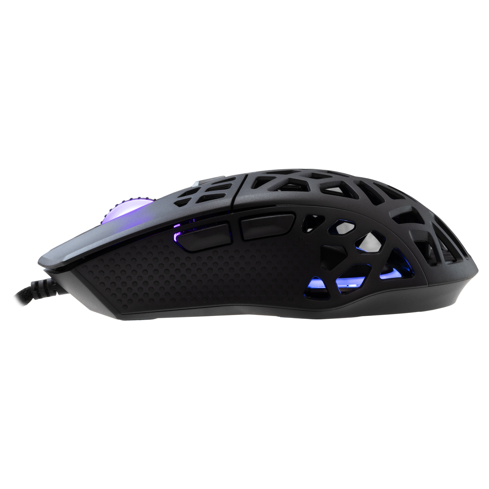 Mis_White_Shark_Caradoc_GM_5018__RGB_Crni_5.jpg