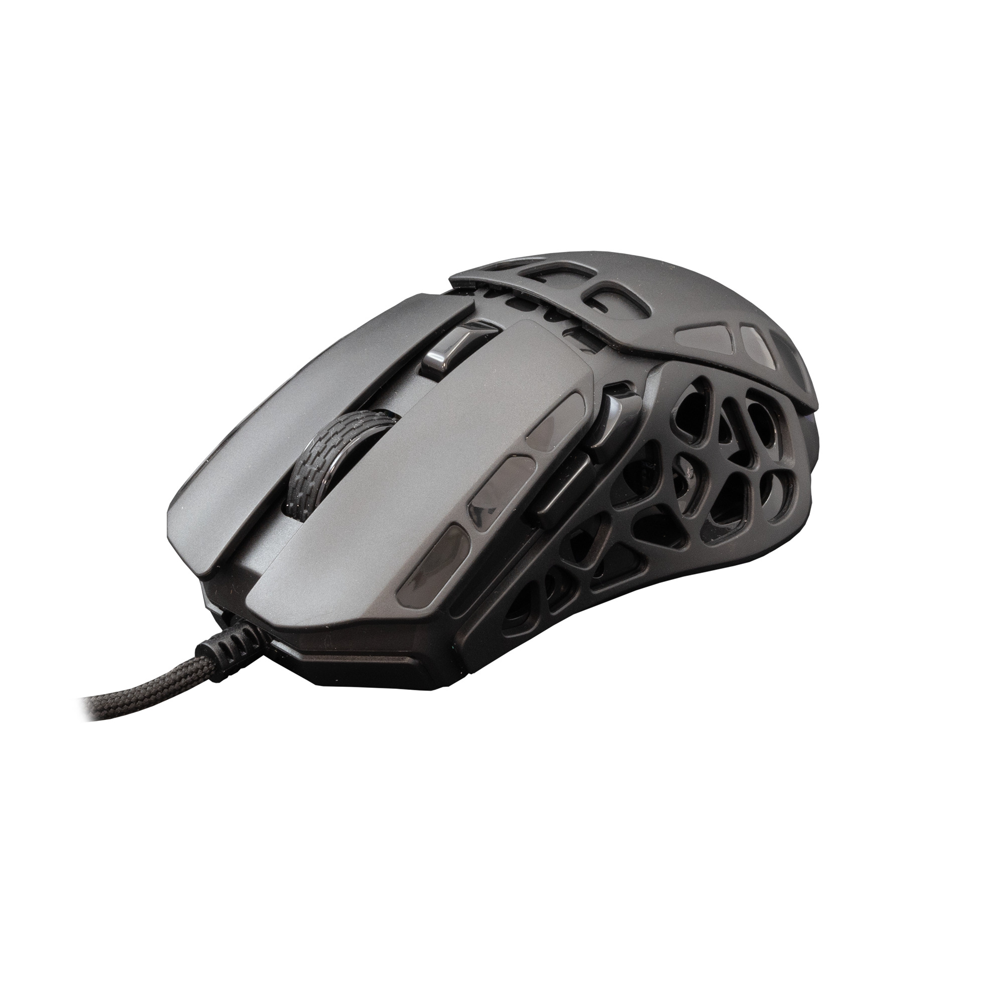 Mis_White_Shark_GM_5016_ECTOR___12_000_DPI___Crni_3.jpg