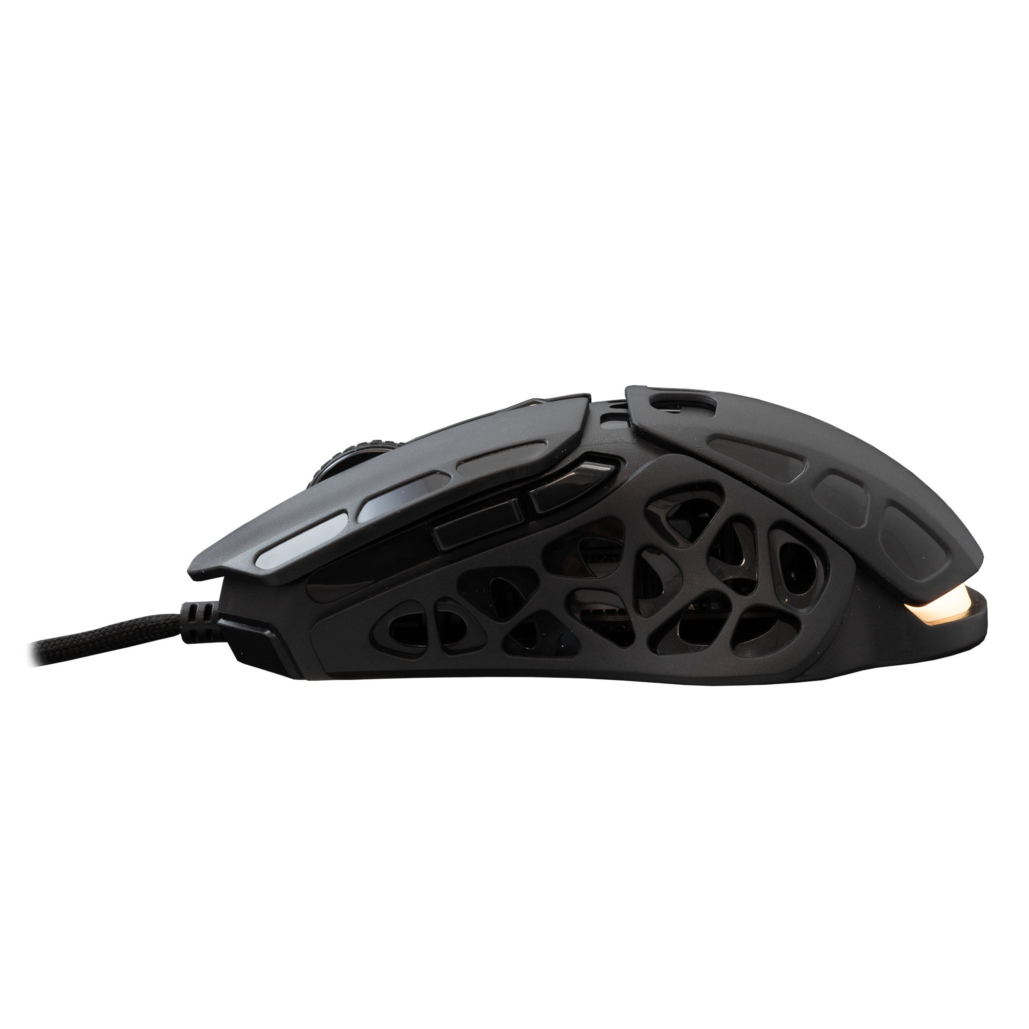 Mis_White_Shark_GM_5016_ECTOR___12_000_DPI___Crni_4.jpg