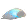Mis_White_Shark_MORDRED_Bijeli_2.jpg