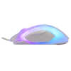 Mis_White_Shark_MORDRED_Bijeli_3.jpg