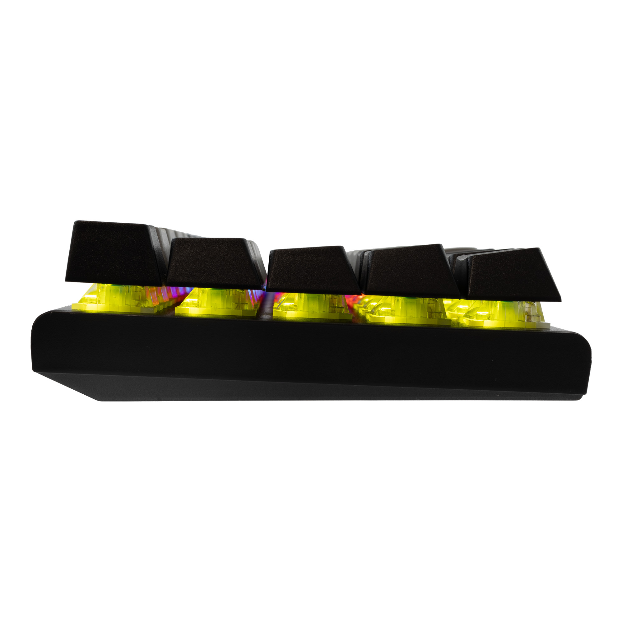 Tipkovnica_White_Shark_GK_002722V2_WAKIZASHI_2___Sivo_crna_HR_BLUE_SW_8.jpg