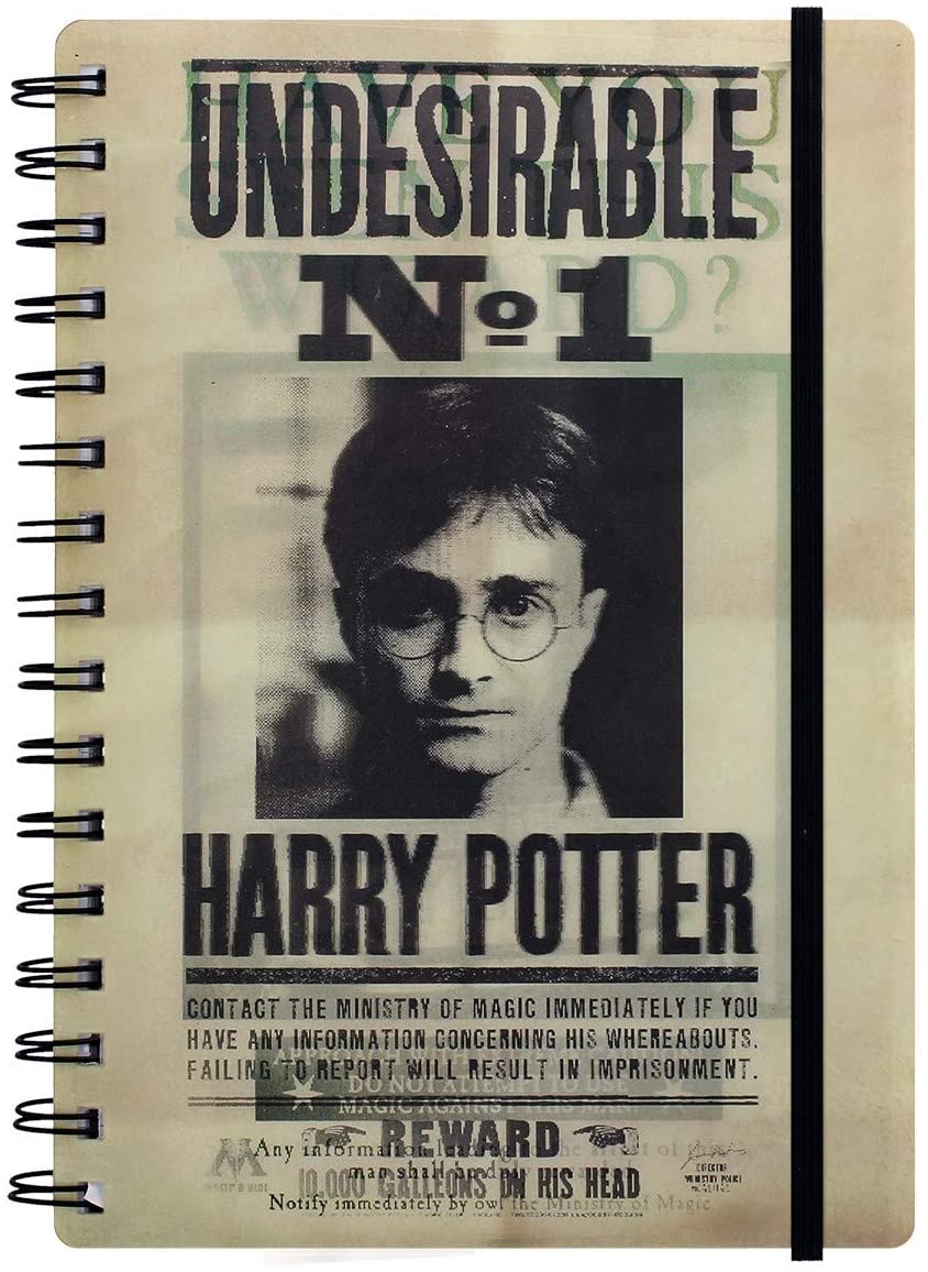 Biljeznica_Pyramid_International_HARRY_POTTER_(SIRIUS_&_HARRY)_3D_0.jpg